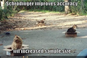 Schroedinger Improves Accuracy wif increased sample size