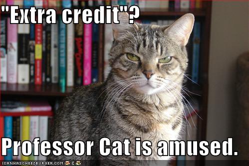 \"Extra credit\"? Professor Cat is amused.